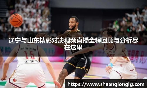 辽宁与山东精彩对决视频直播全程回顾与分析尽在这里