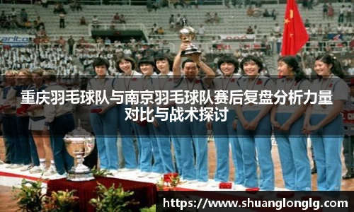 重庆羽毛球队与南京羽毛球队赛后复盘分析力量对比与战术探讨
